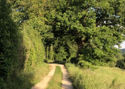 Fond chemin