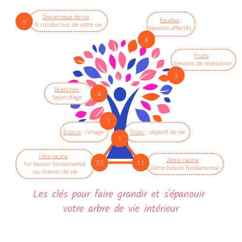 Les cles pour faire grandir votre arbre de vie interieur-3